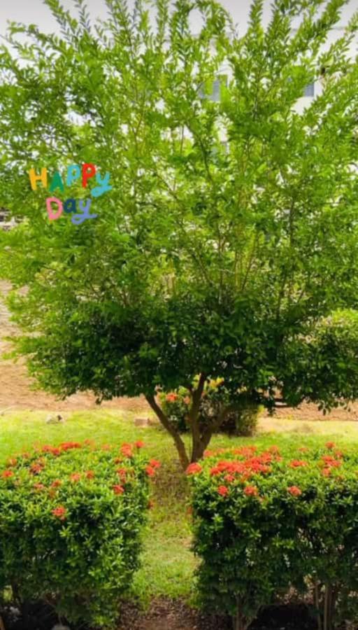 Apartamento, Zona Leste, Otima Localizacao. Teresina Eksteriør billede